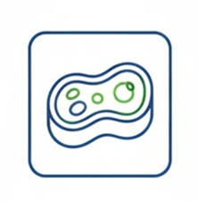 Cultured Meat