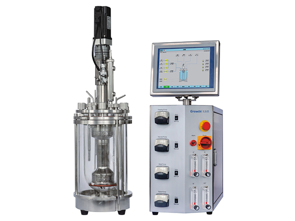Glass Reactor System